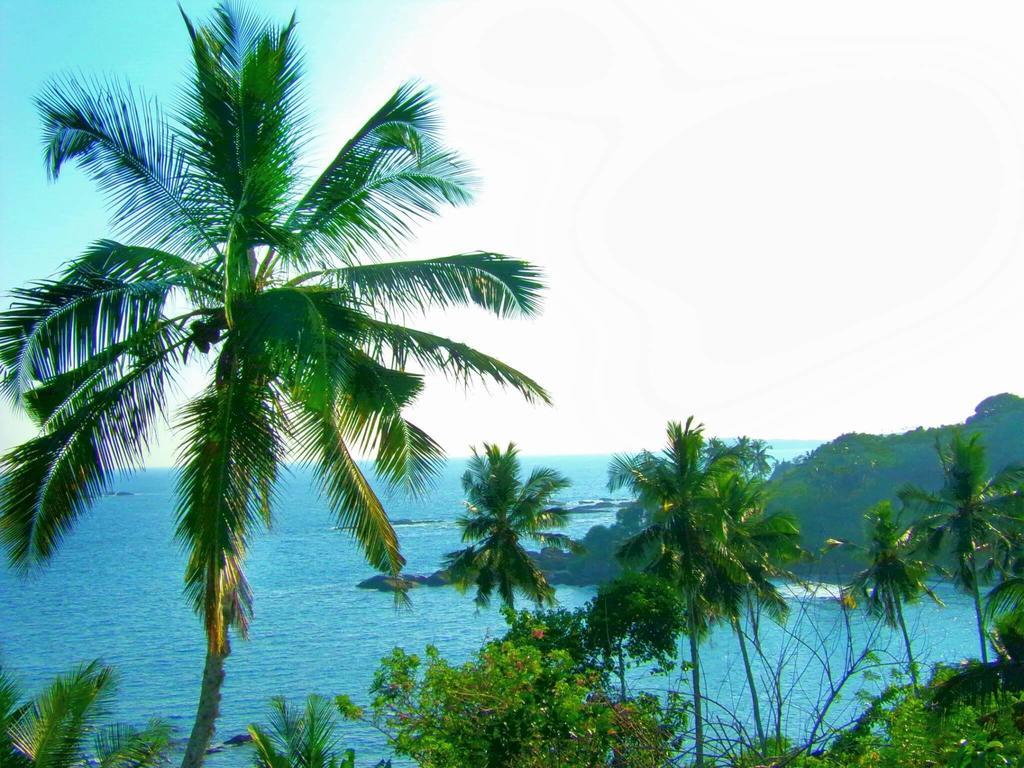 Amour Surf Тангалла Экстерьер фото
